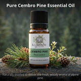 Il Labirinto Swiss Pine essential oil (British brand)