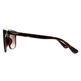Police SPLB41 Origins brown gradient sunglasses, UK version