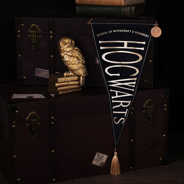 Harry Potter Alumni Hanging Banner Hogwarts GOODS Superdrug   