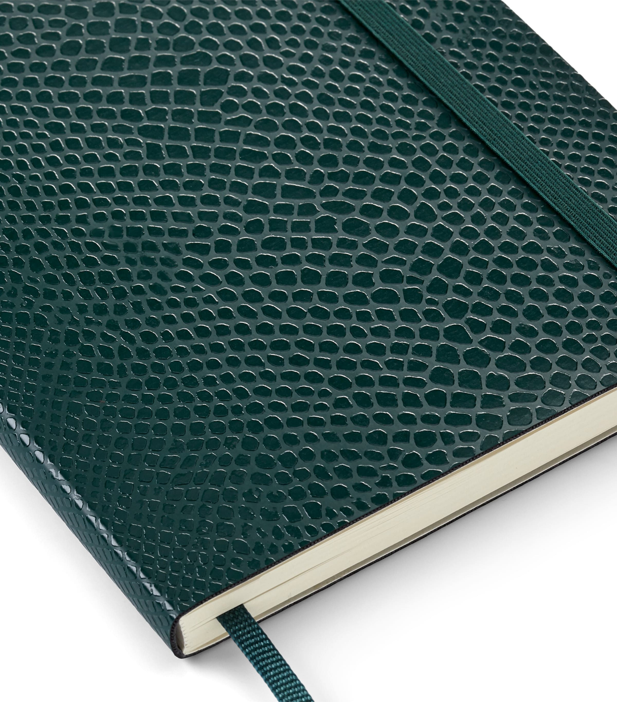Moleskine Precious & Ethical Vegan Notebook, imported from the UK