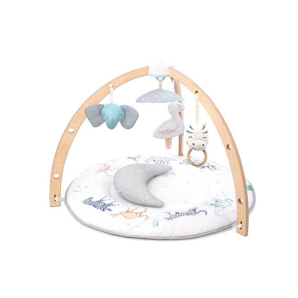 aden + anais™ Play + Discover Activity Gym