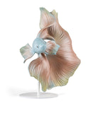 Lladró porcelain betta fish right ornament, UK version
