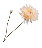 Silk-Ka artificial chrysanthemum flower (British brand)