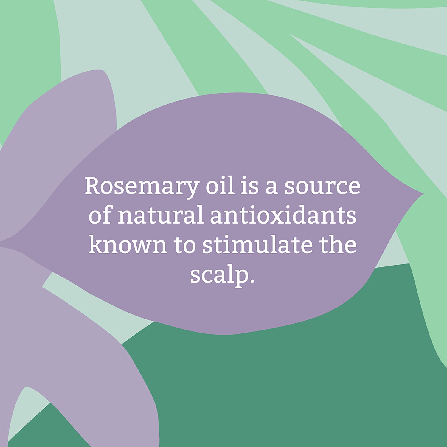 Faith In Nature Rosemary Shampoo 5L - British product