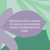 Faith In Nature Rosemary Shampoo 5L - British product