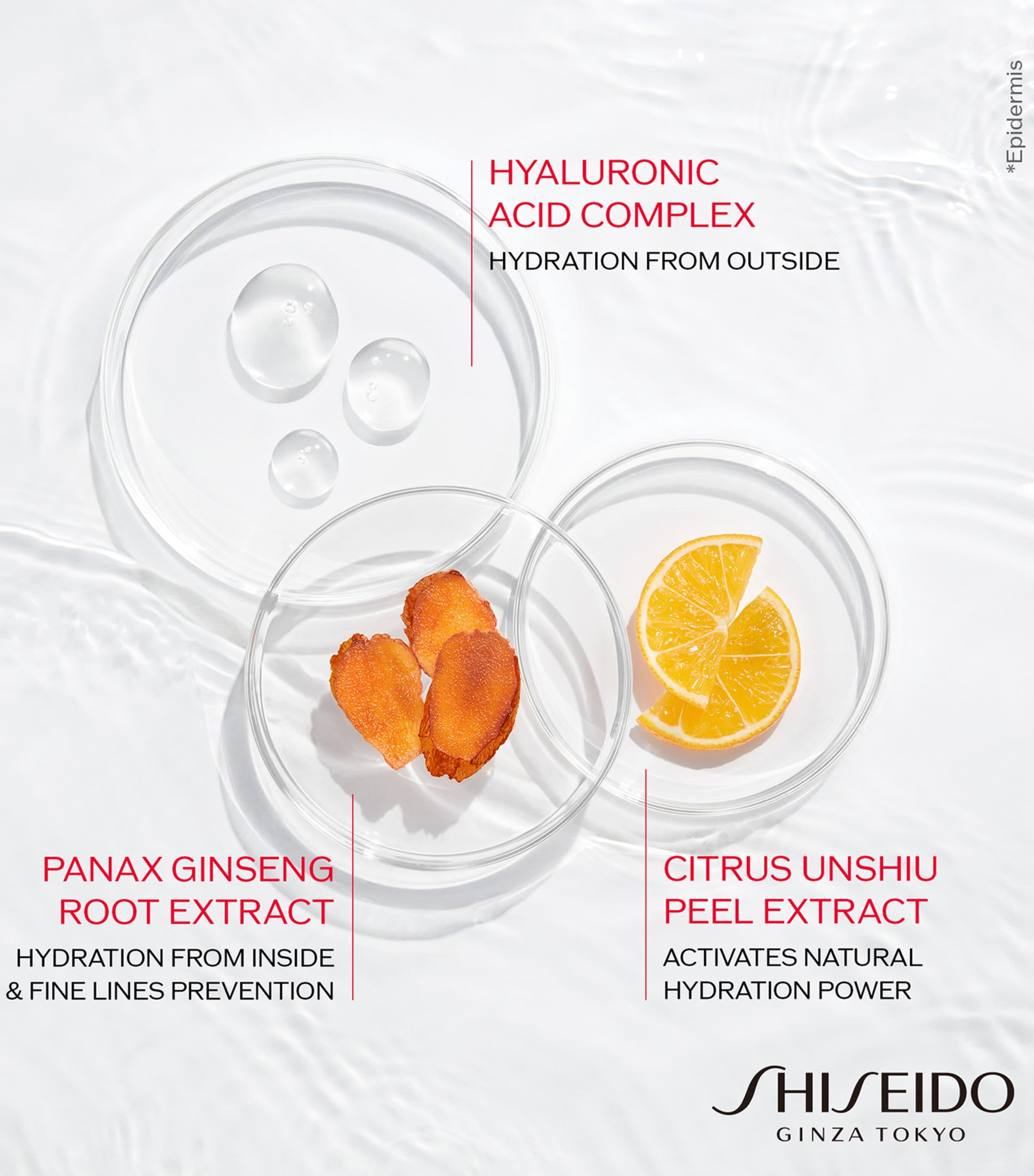 Shiseido Essential Energy Hydrating Day Cream SPF 20 50ml (British brand)