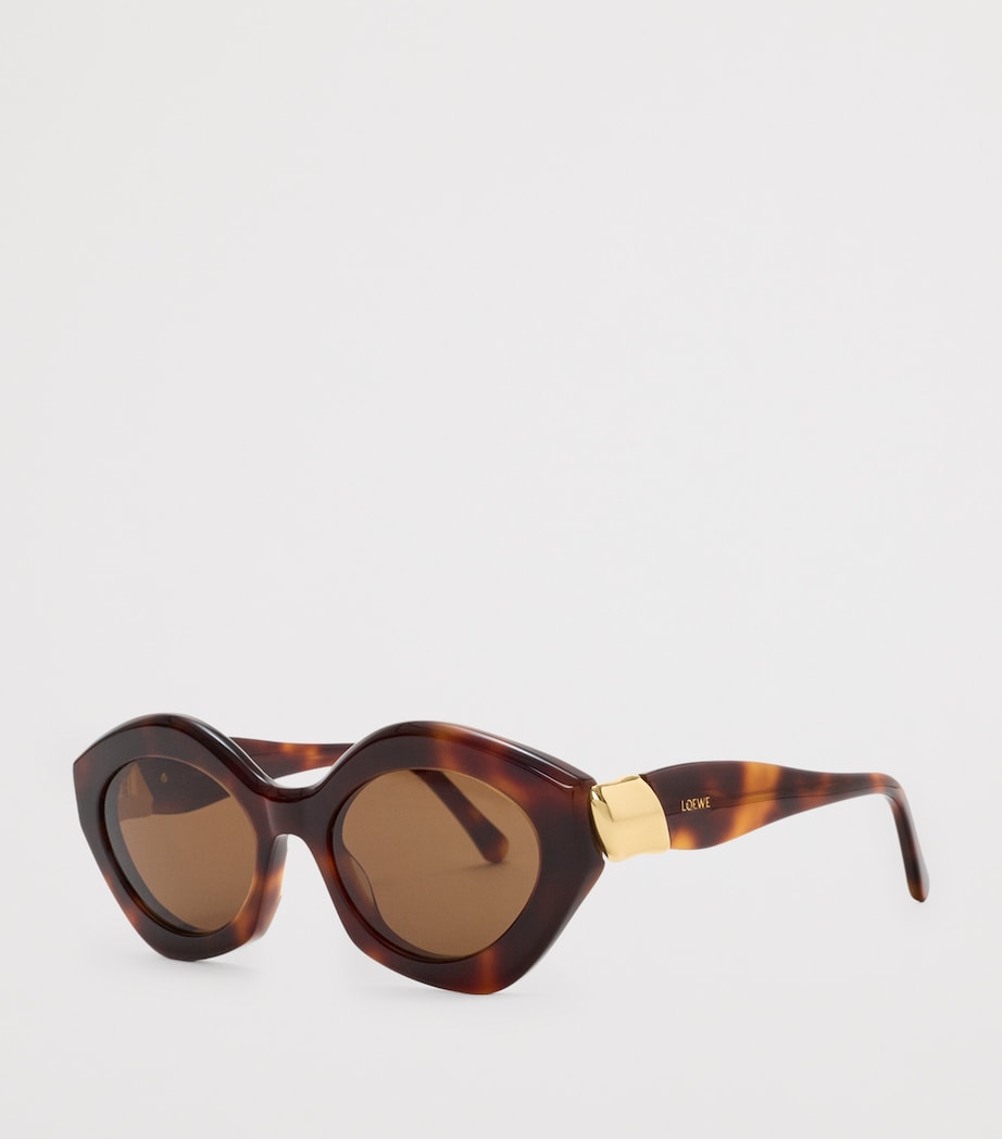 LOEWE acetate cat eye sunglasses coil design (British brand)