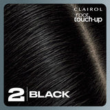Clairol root touch-up permanent hair dye Black 2, UK version
