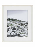 Gallery Home White Tides Wild Flowers framed art 55x65cm - British product
