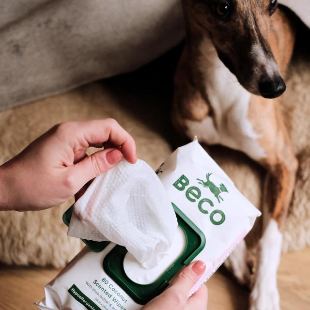 Beco Bamboo Dog Wipes Coconut Scented   80 per pack