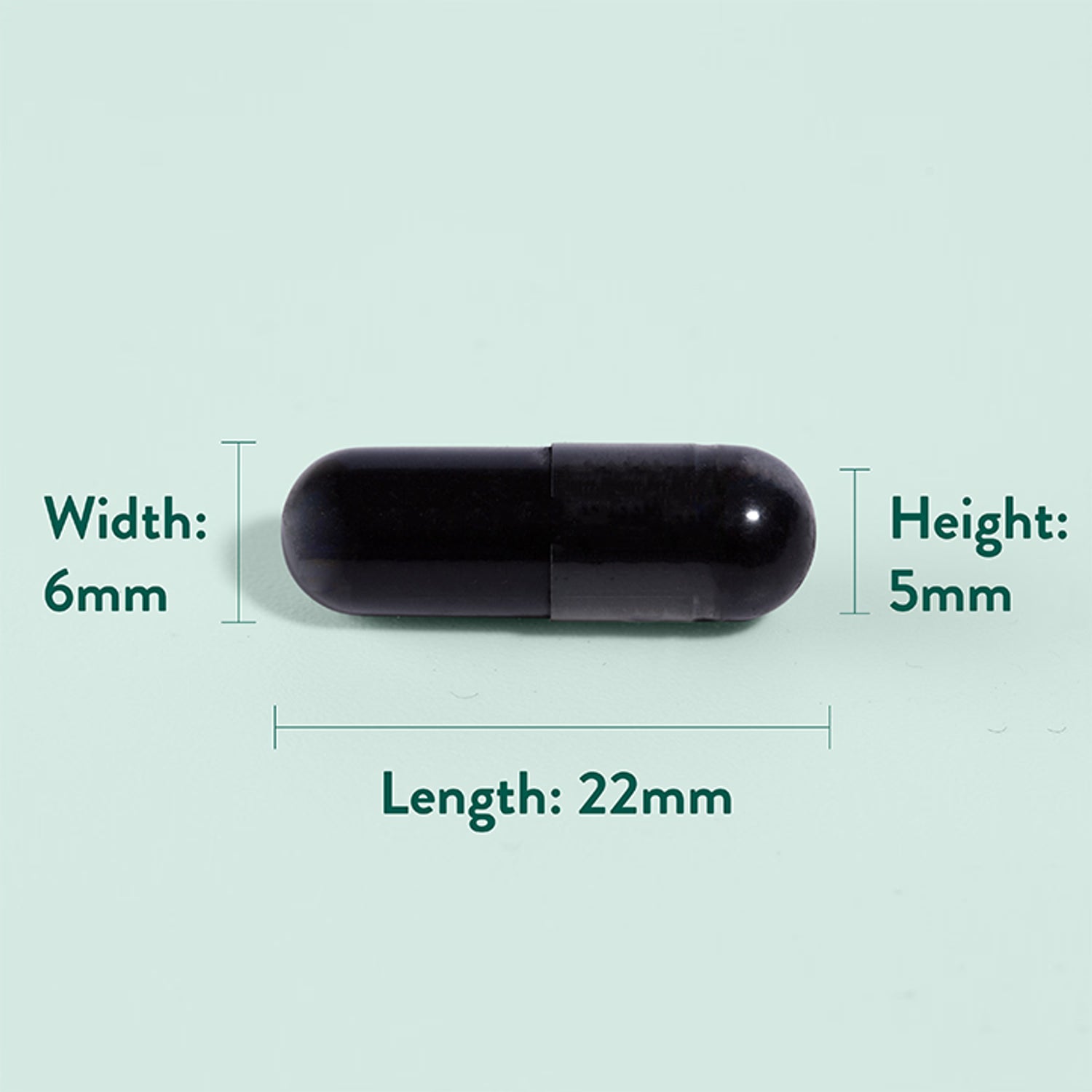 Holland Barrett Activated Charcoal Capsules 240, UK version