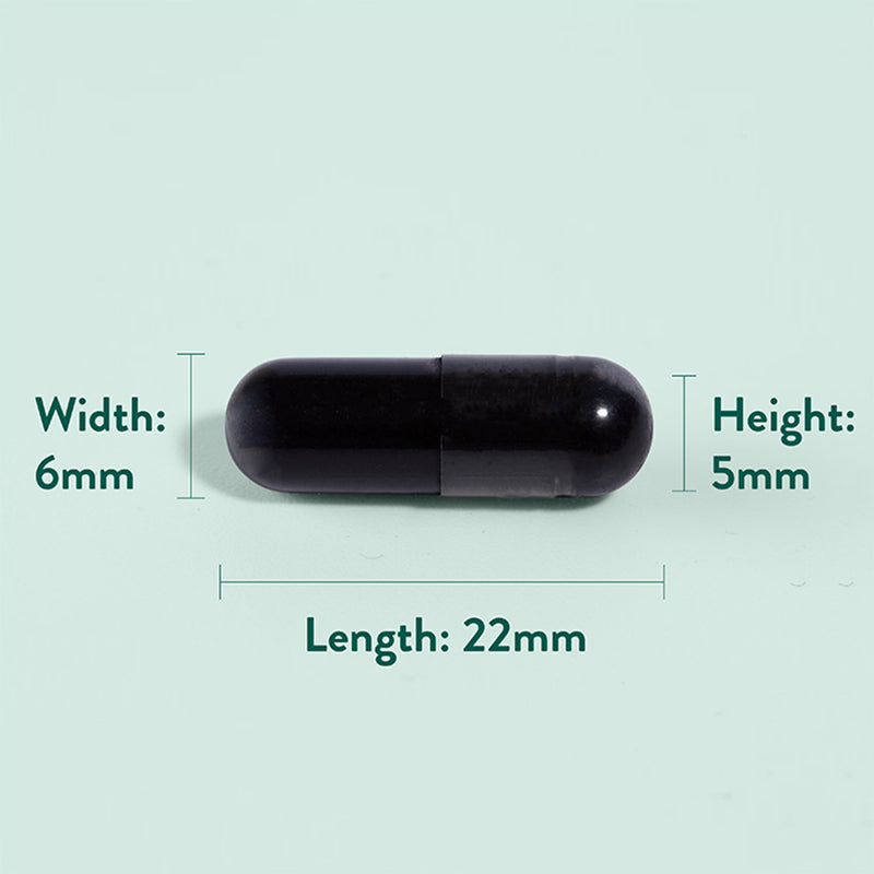 Holland Barrett Activated Charcoal Capsules 240, UK version
