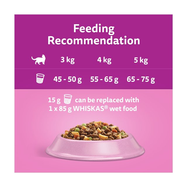 Whiskas 1+ Adult Dry Cat Food with Salmon   800g