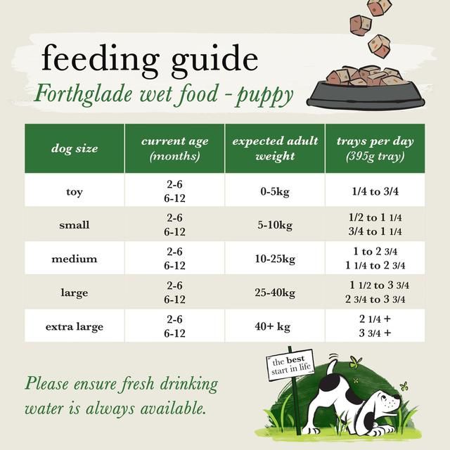 Forthglade Complete Puppy Grain Free Lamb with Liver Sweet Potato & Veg   395g GOODS M&S   