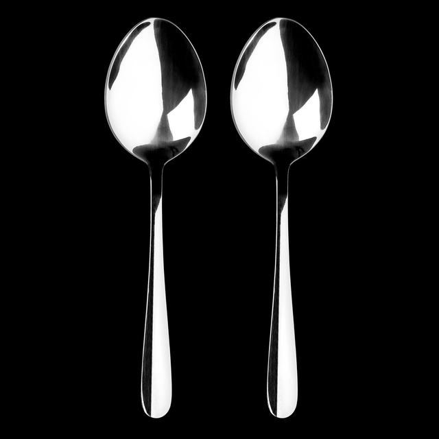 Tala Performance Stainless Steel Serving Spoons - set of 2