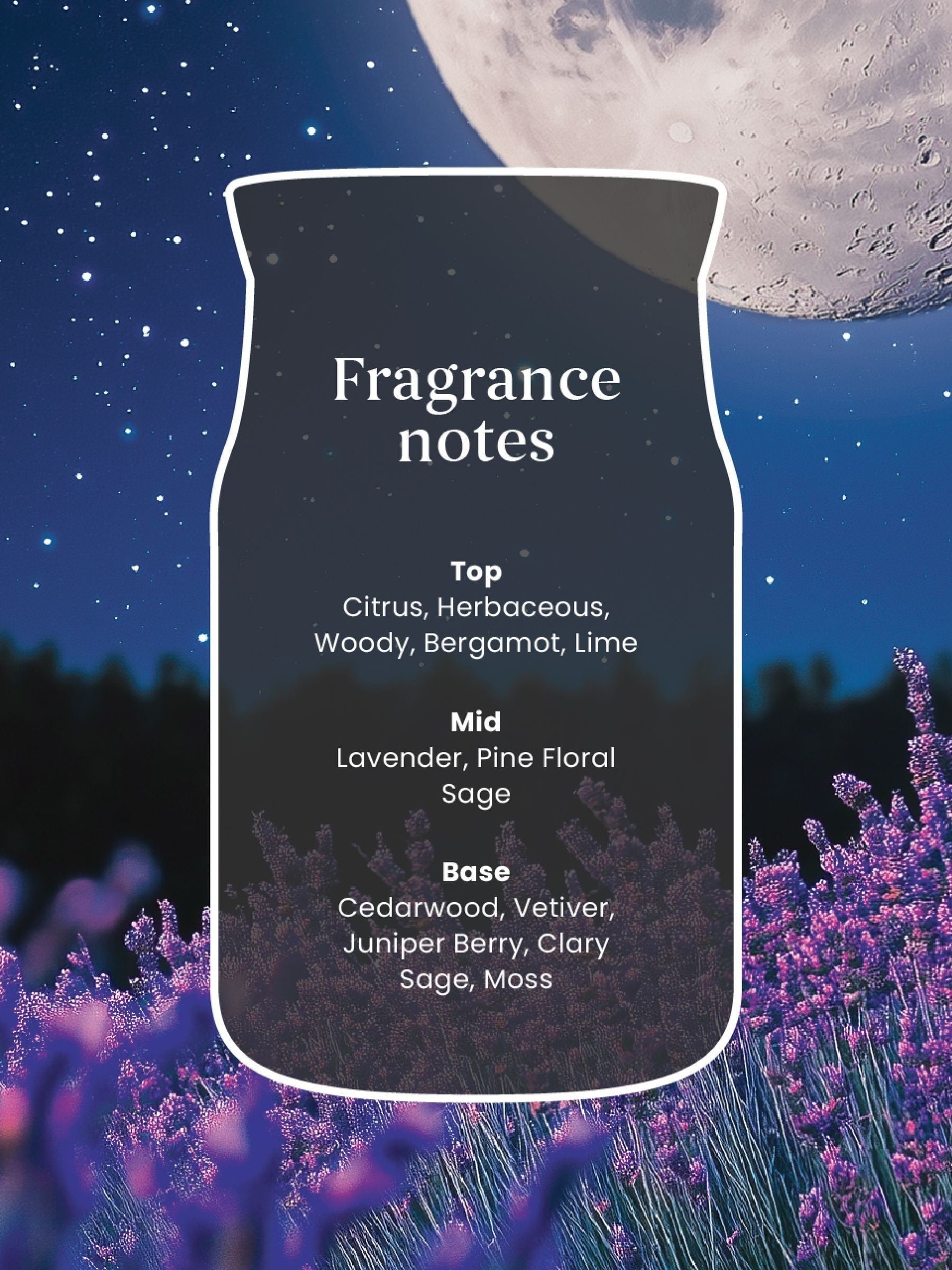 Yankee Candle Midsummer's Night large jar 2 wick candle, imported from the UK