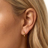 MUCHV gold solid hoop earrings 14mm - British product