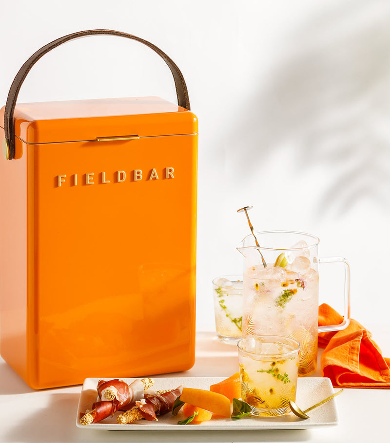 Fieldbar drinks box cooler with interchangeable straps 10L - British product