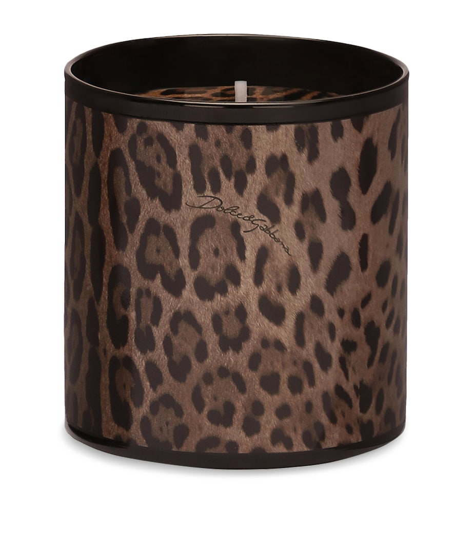 Dolce&Gabbana Casa Leopardo Patchouli Candle 380g - British product