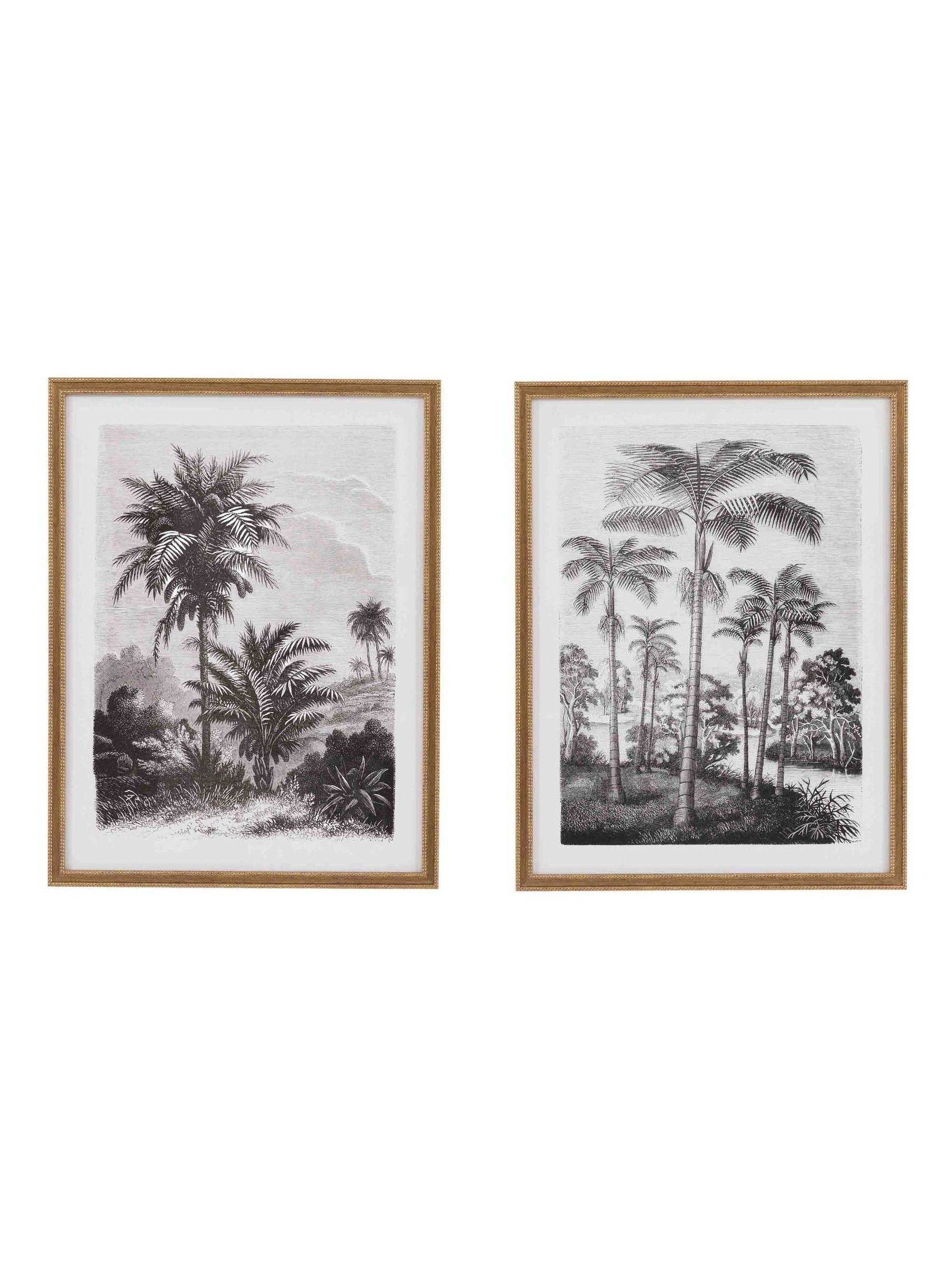 Gallery Home multicoloured botanical framed art set - British product