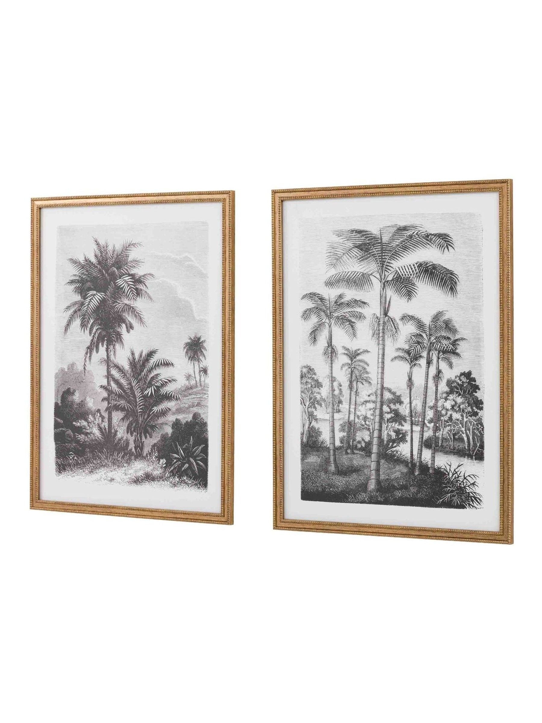 Gallery Home multicoloured botanical framed art set - British product