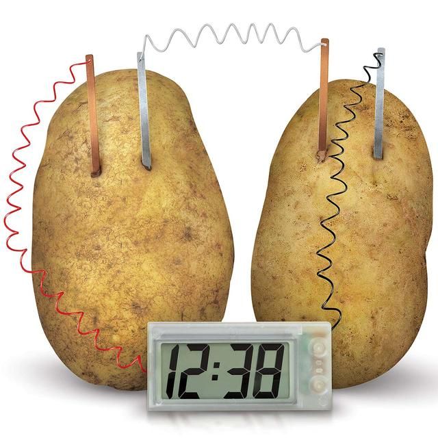 Green Science Potato Clock GOODS M&S   