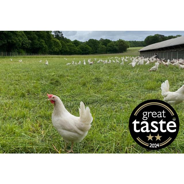 Packington Free Range White Eggs   6 per pack GOODS M&S   