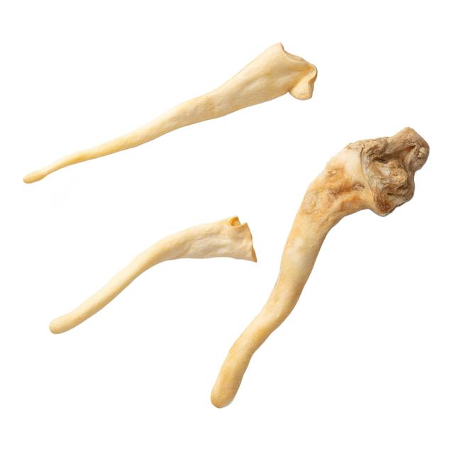 NAW Lamb Tails Dog Treat   150g