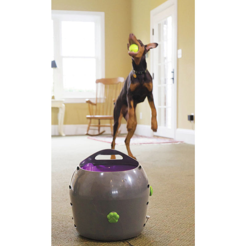 PetSafe automatic ball launcher dog toy, UK version