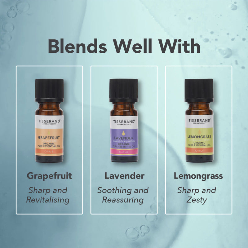 Tisserand Rosemary Organic Pure Essential Oil 9ml (British brand)