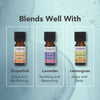 Tisserand Rosemary Organic Pure Essential Oil 9ml (British brand)
