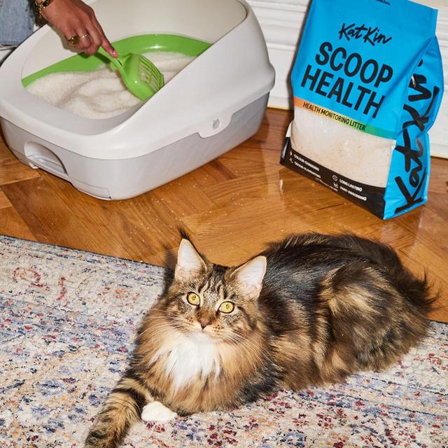 KatKin Scoop Health litter   2.7kg GOODS M&S   