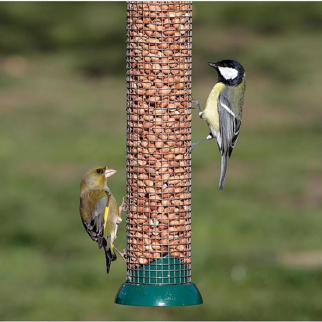 RSPB Premium Peanuts   900g GOODS M&S   