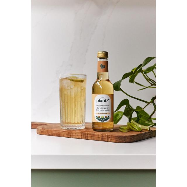 Plants by Deliciously Ella Ginger and Mint Mojito Kombucha   250ml