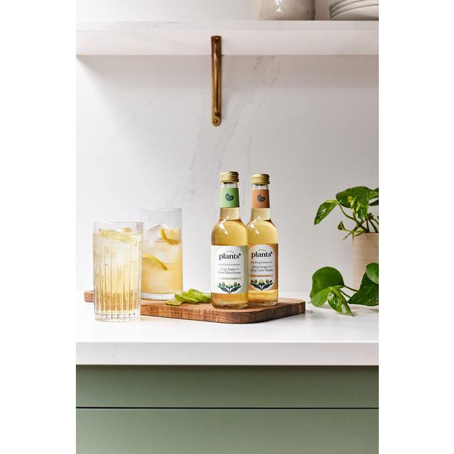 Plants by Deliciously Ella Ginger and Mint Mojito Kombucha   250ml GOODS M&S   