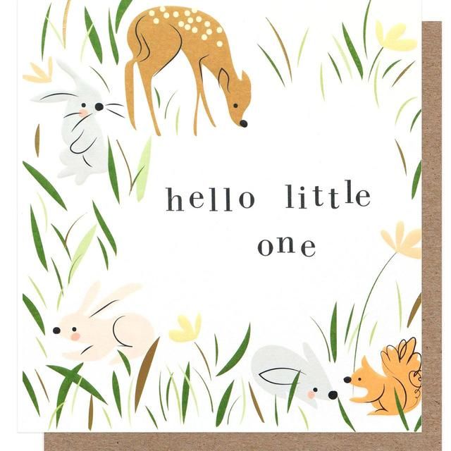 Hello Little One Woodland Critters New Baby Card GOODS M&S   