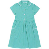 M&S Girls Pure Cotton Gingham School Dress Green 3-12 Years Green GOODS M&S   