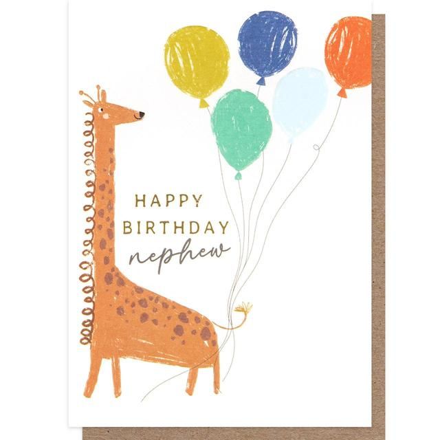 Giraffe Nephew Birthday Card GOODS M&S   