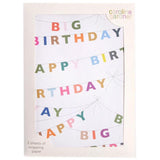 Happy Birthday Bunting Gift Wrap Sheets   2 per pack GOODS M&S   