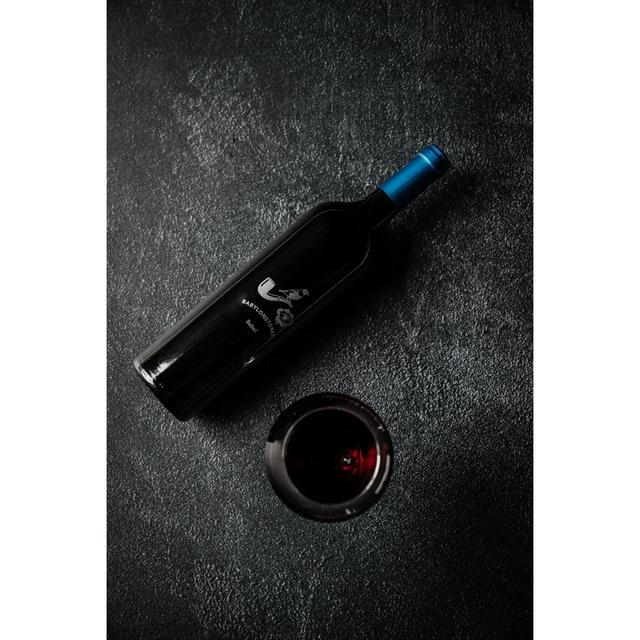 Babylonstoren Babel Red Blend   75cl