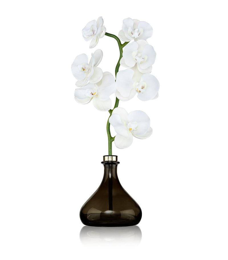 Senti Orchid Amber and Oud reed diffuser 250ml (British brand)