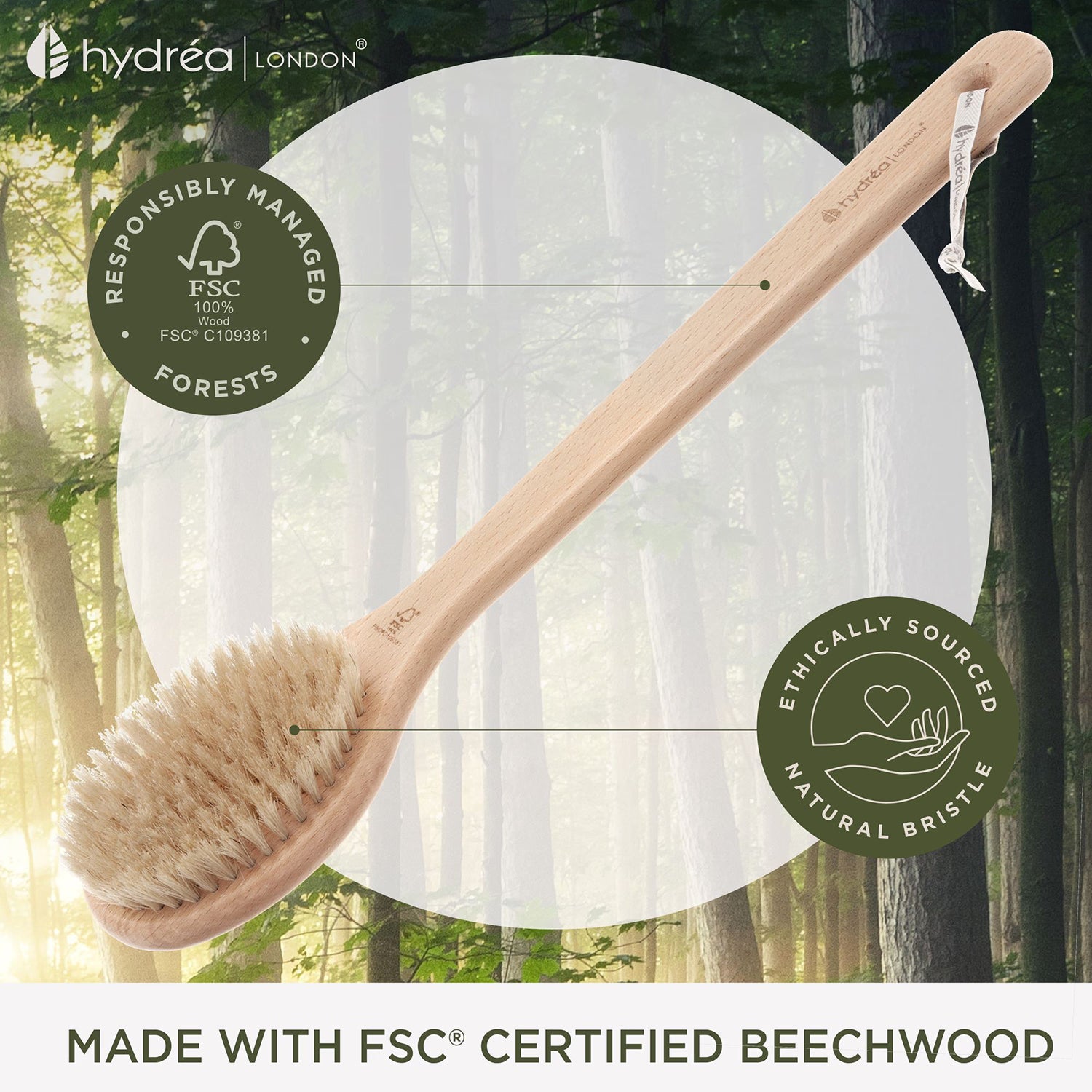 Hydréa London professional natural bristle sauna brush (British brand)