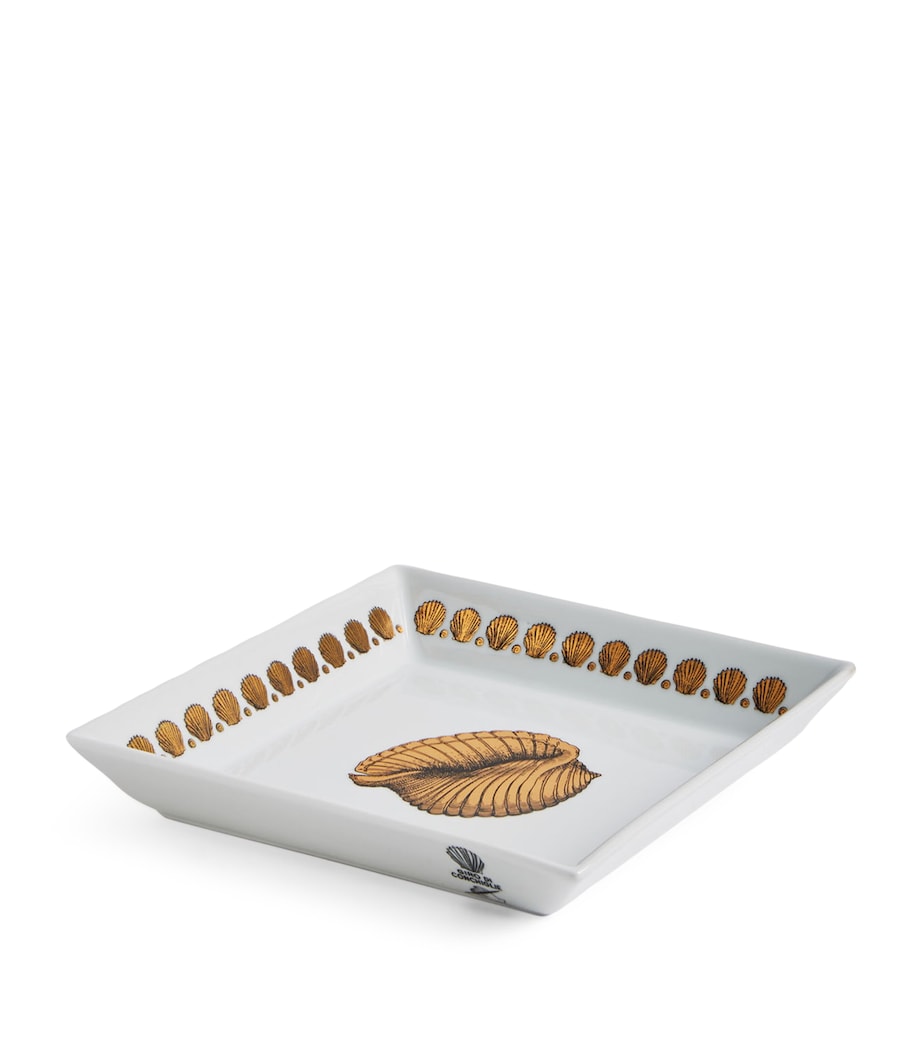 Fornasetti Square Giro di Conchiglie Plate 20cm x 20cm - British product