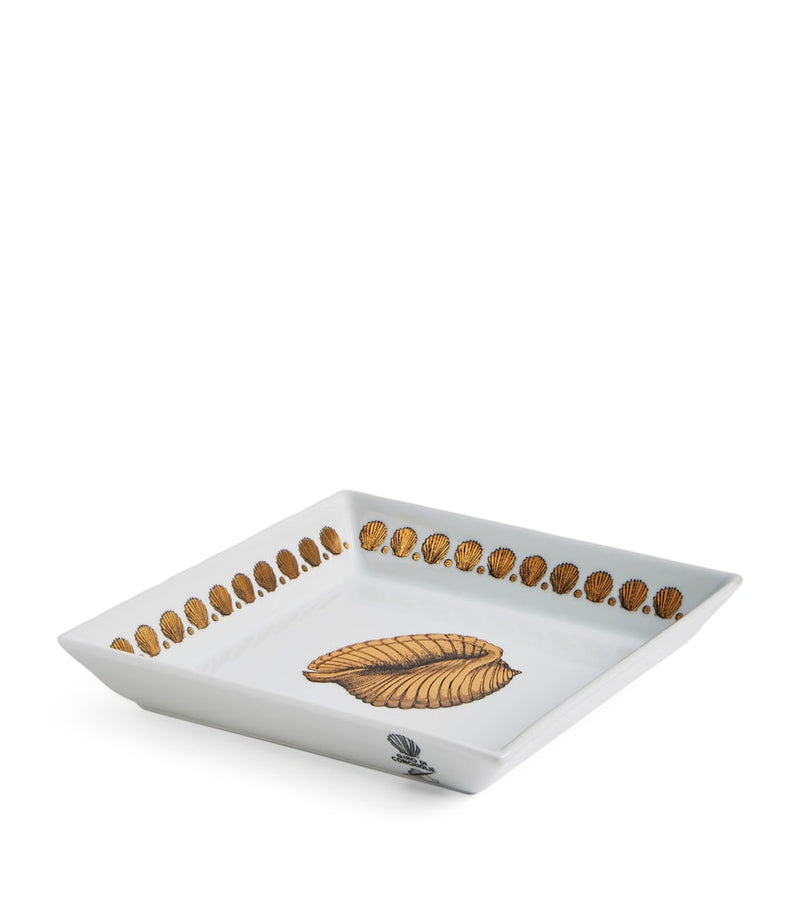 Fornasetti Square Giro di Conchiglie Plate 20cm x 20cm - British product