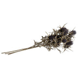 Argos Home brown dried thistle stems 74cm 3 pack - British product