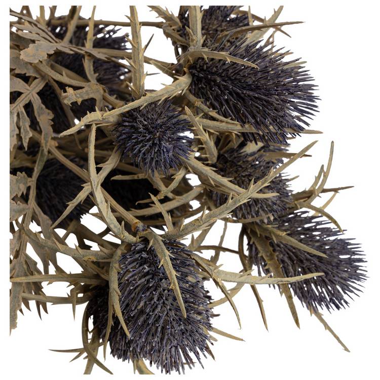 Argos Home brown dried thistle stems 74cm 3 pack - British product