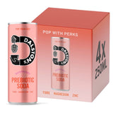 Dalston's Raspberry Prebiotic Soda For Your Gut  Multipack   4 x 250ml GOODS M&S   