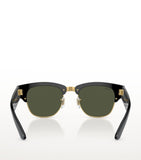 Ray-Ban Propionate sunglasses 0RB0316S - British product
