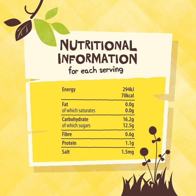 Giving Tree Freeze Dried Banana Crisps   18g GOODS M&S   