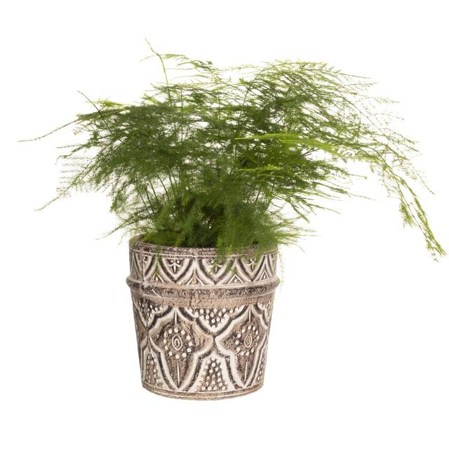 Sass & Belle Amina Planter